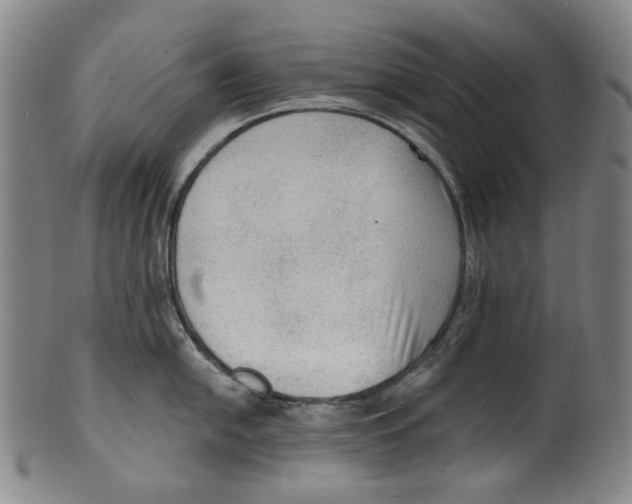 X0000099421054200806060951