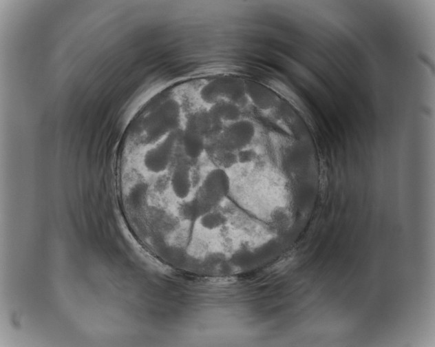 X0000099421055200806060951
