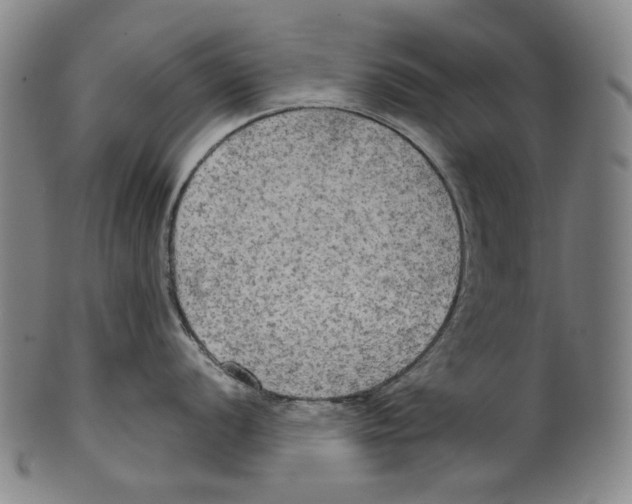 X0000099421056200806060951