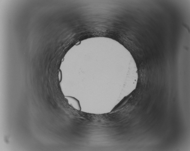 X0000099421057200806060950