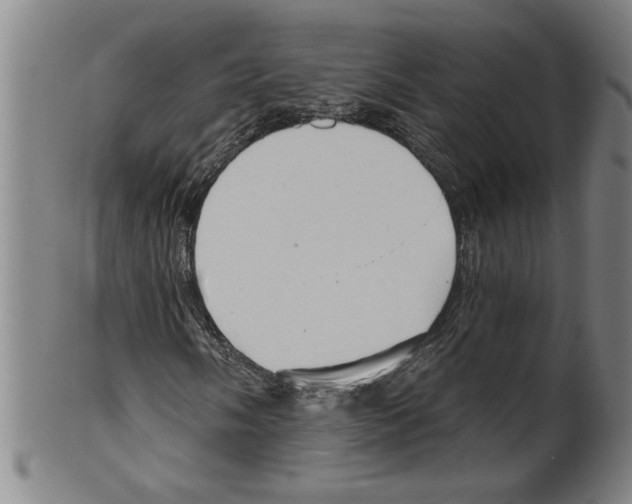 X0000099421058200806060950