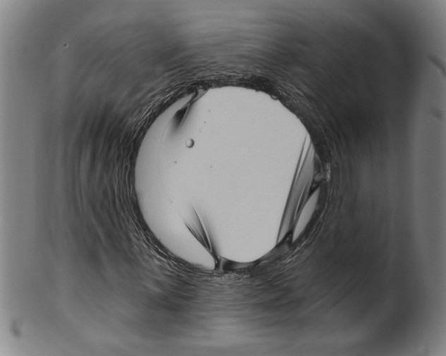 X0000099421059200806060950