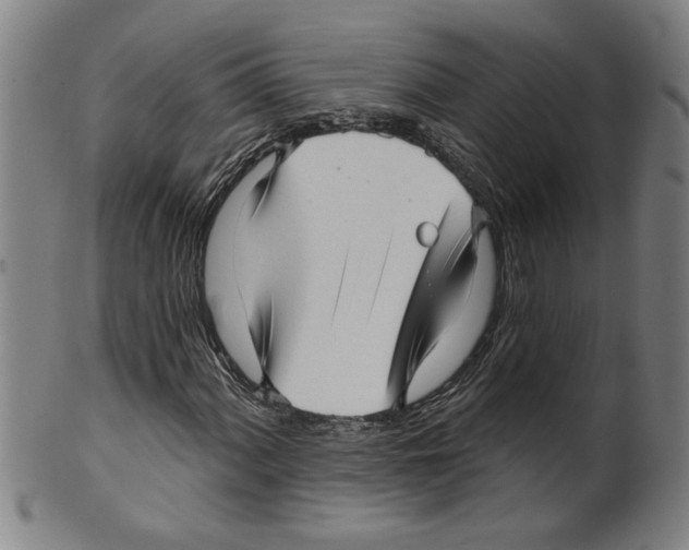 X0000099421060200806060950