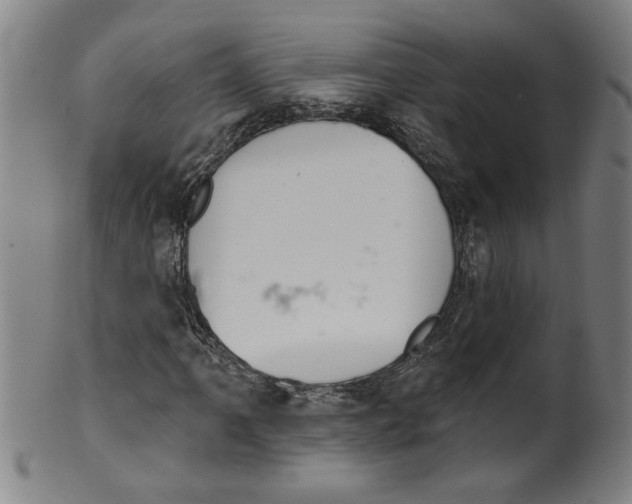 X0000099421061200806060950