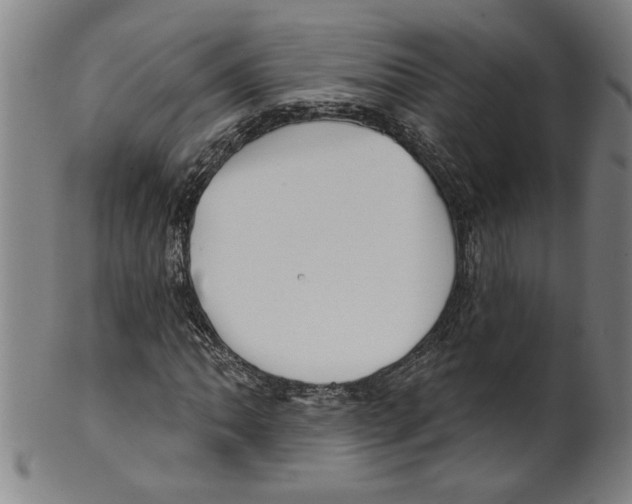 X0000099421062200806060950