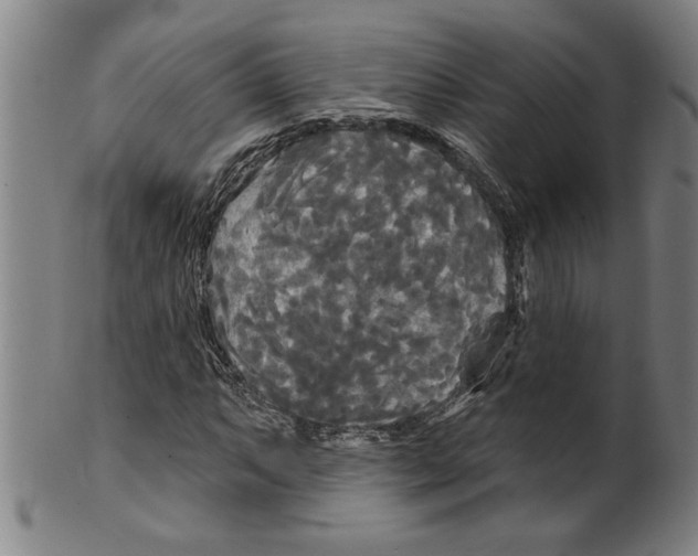 X0000099421063200806060950