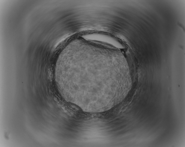 X0000099421064200806060950
