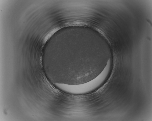 X0000099421066200806060950