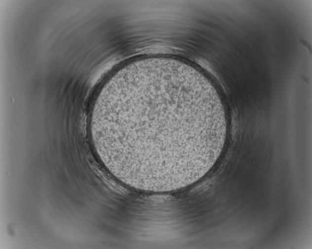 X0000099421067200806060950