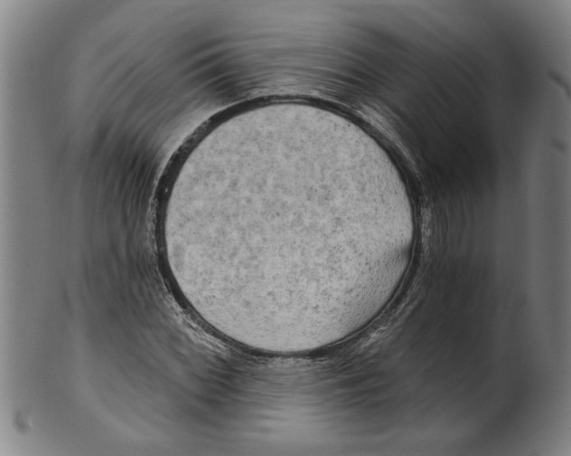 X0000099421068200806060950