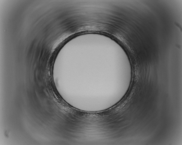 X0000099421070200806060950