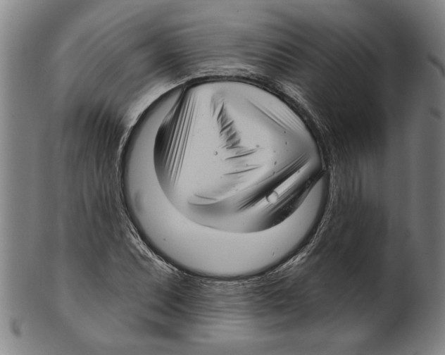 X0000099421071200806060950