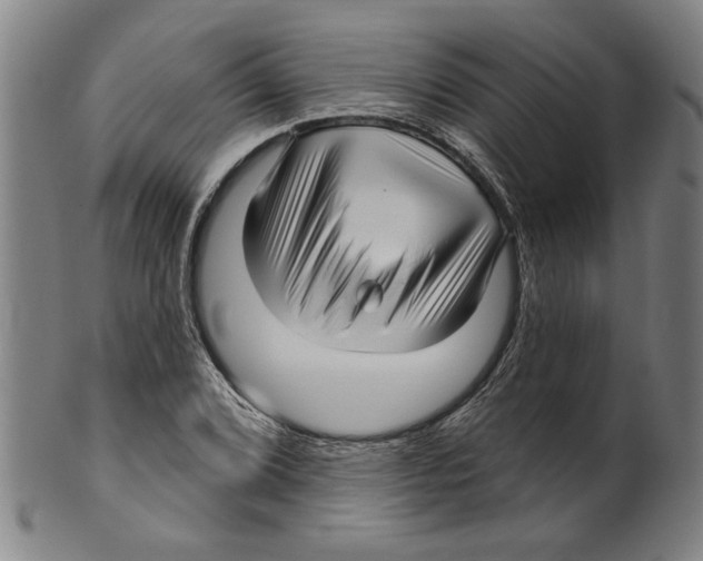 X0000099421072200806060950