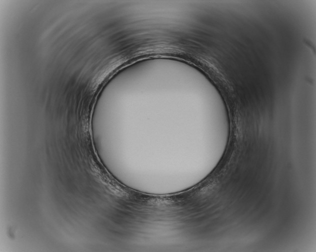 X0000099421073200806060950