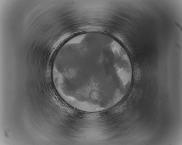 X0000099421074200806060950