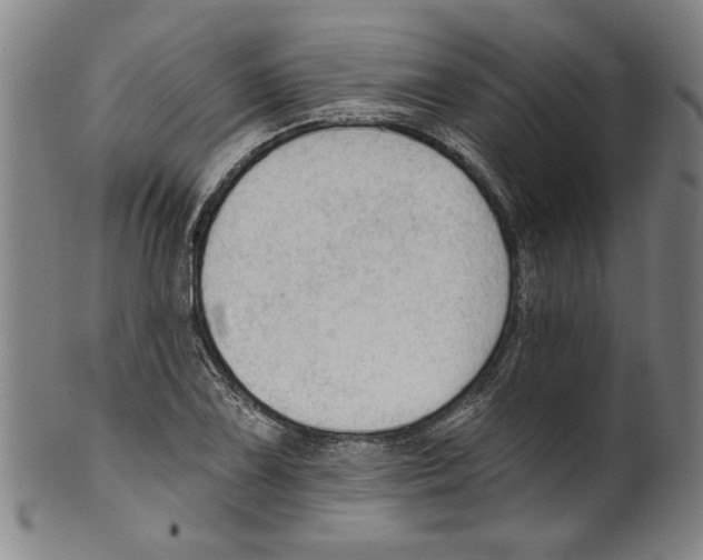 X0000099421075200806060950