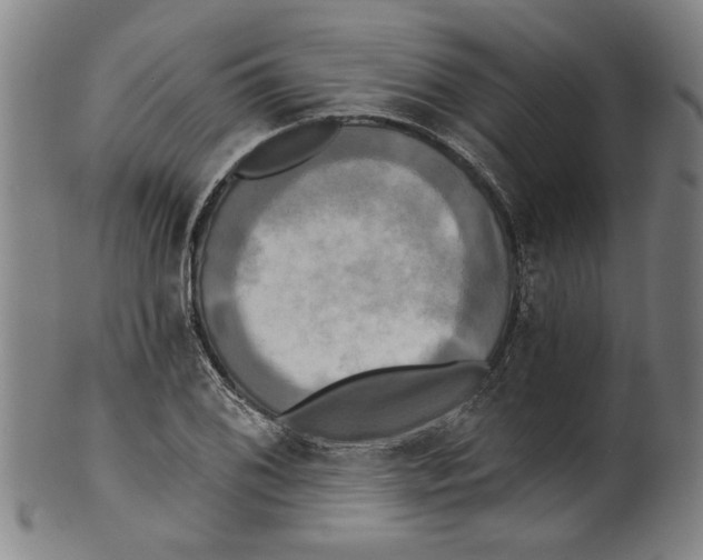 X0000099421076200806060950