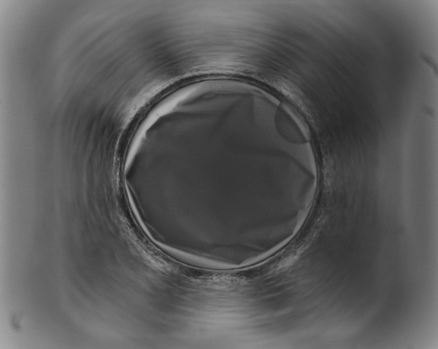 X0000099421077200806060950