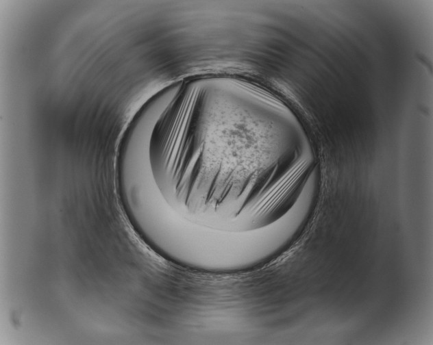 X0000099421079200806060950