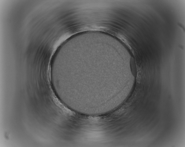 X0000099421080200806060950
