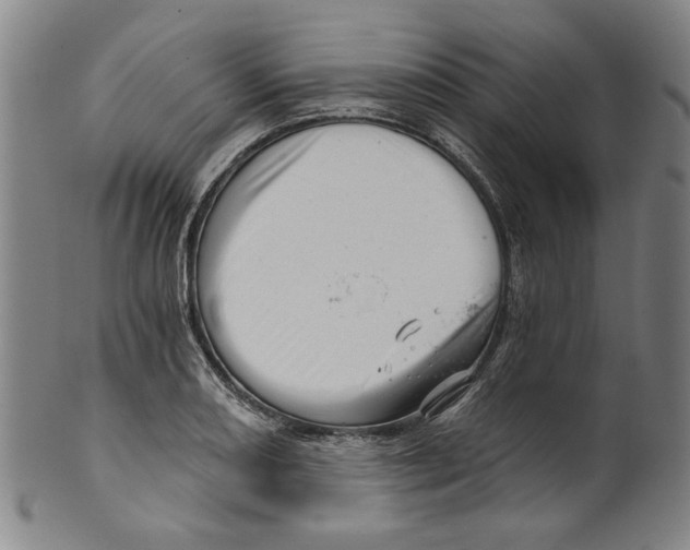 X0000099421082200806060950