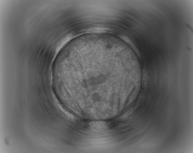 X0000099421083200806060950