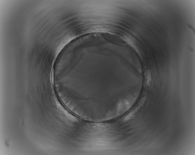 X0000099421084200806060950