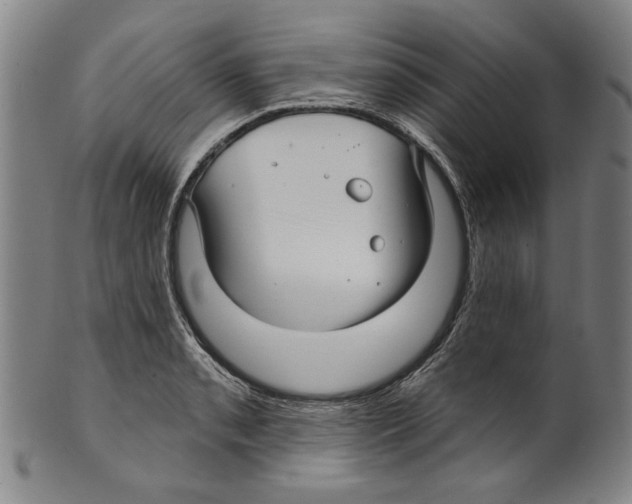 X0000099421085200806060949