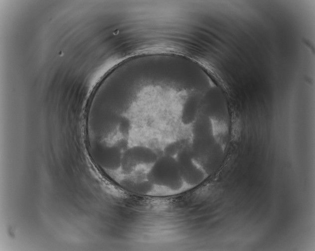 X0000099421086200806060949