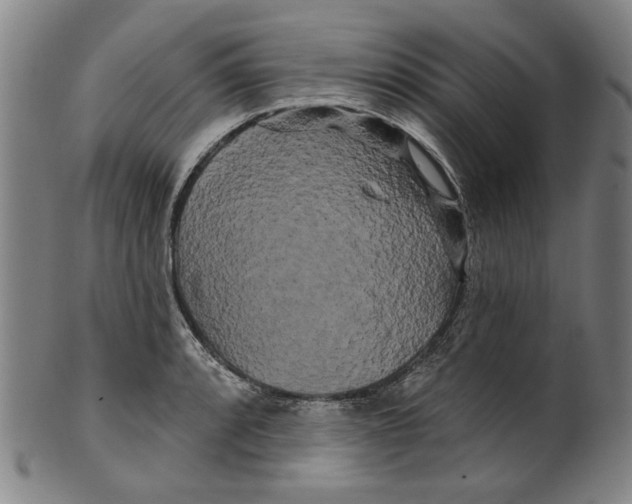 X0000099421088200806060949