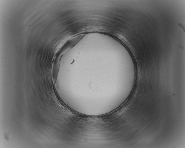 X0000099421089200806060949