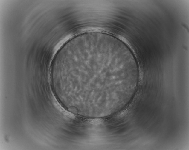 X0000099421090200806060949