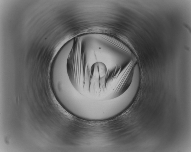 X0000099421091200806060949