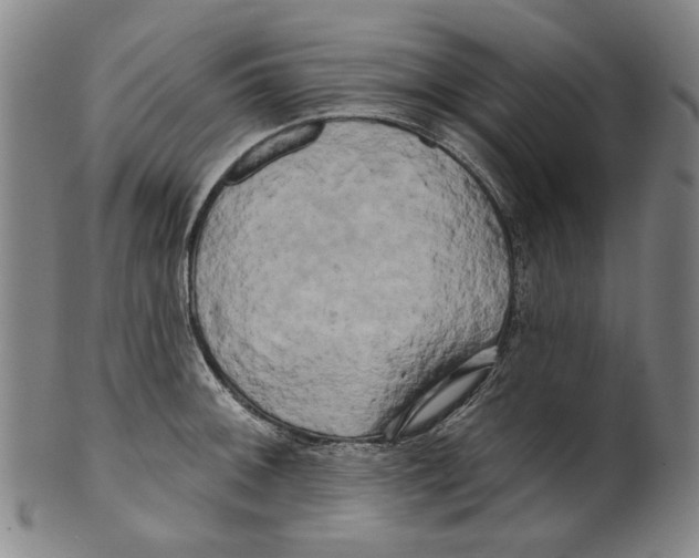 X0000099421092200806060949