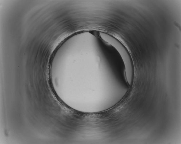 X0000099421093200806060949