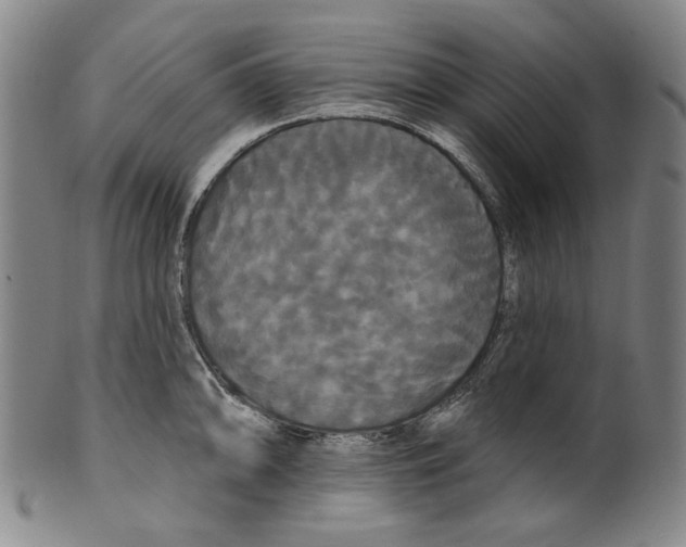 X0000099421094200806060949