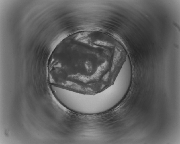 X0000099421095200806060949