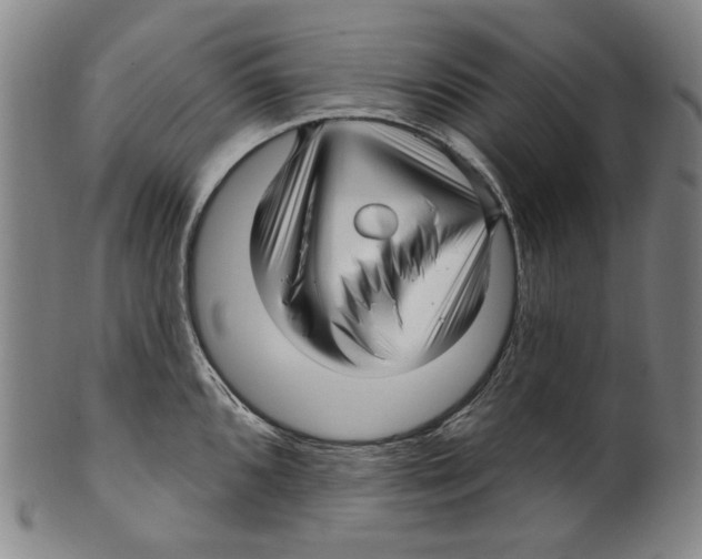 X0000099421096200806060949