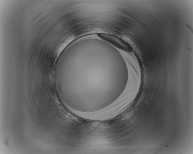 X0000099421097200806060949