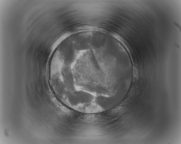 X0000099421098200806060949
