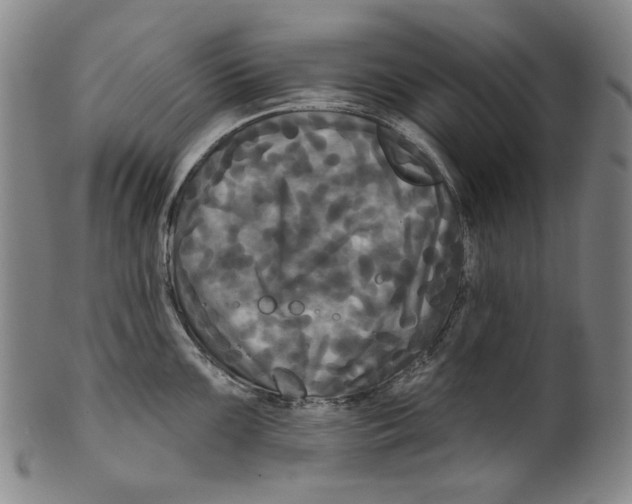 X0000099421099200806060949