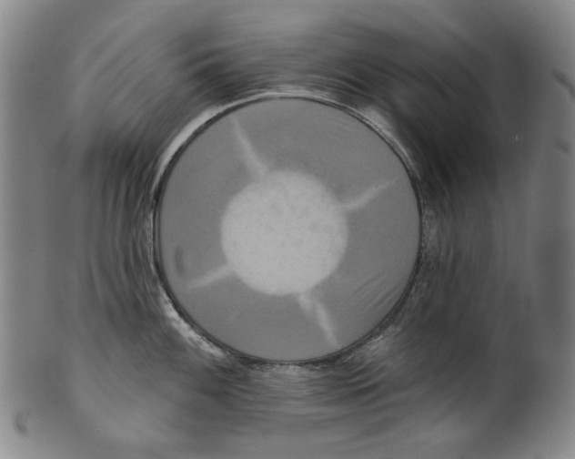 X0000099421100200806060949