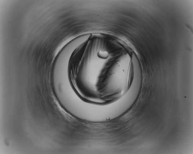 X0000099421101200806060949