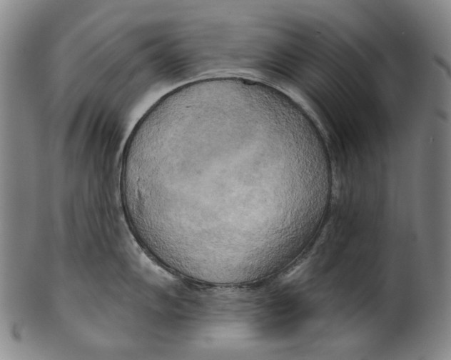 X0000099421102200806060949