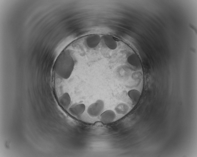 X0000099421103200806060949