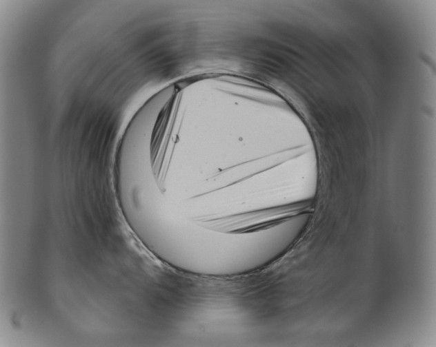 X0000099421104200806060949