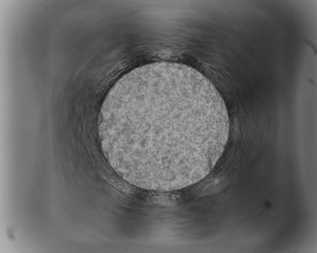 X0000099421105200806060948