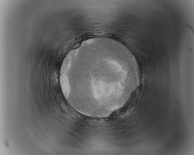 X0000099421106200806060948