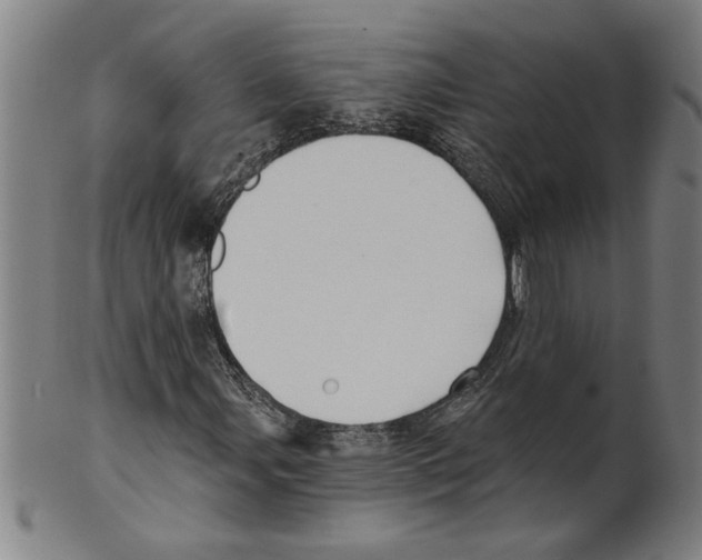 X0000099421107200806060948