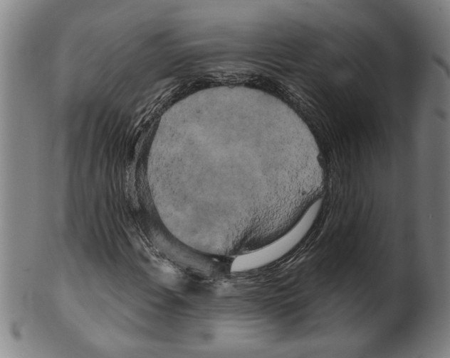 X0000099421108200806060948